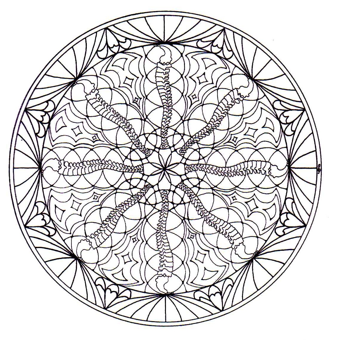 Magnificient natural Mandala drawing. Mandalas offer balancing visual elements, symbolizing unity and harmony.